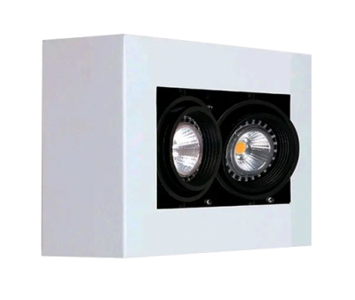 PLAFON PL020/2 ZONIC 2L GU10 BLANCO